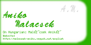 aniko malacsek business card